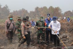 Menteri LH pastikan penanganan karhutla di Rokan Hilir Riau dilakukan cepat dan menyeluruh