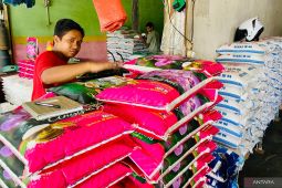 Harga beras di Aceh Barat naik tajam capai Rp250 ribu/15 kg