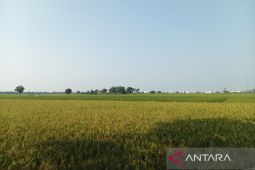 Pemkab Indramayu catat realisasi investasi tembus Rp362,3 miliar