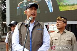 Bulog sebut stok beras terus bertambah usai catat rekor 4,2 juta ton