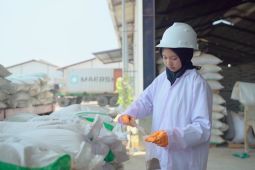 Nusa Palapa Gemilang raih kontrak baru Rp71 miliar kuartal III