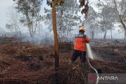 Tim gabungan Kalbar memadamkan karhutla di Rasau Jaya Kubu Raya