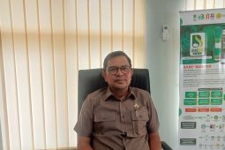 BPDP salurkan Rp285,6 miliar program peremajaan sawit rakyat Jambi