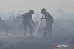 Gubernur: Bantuan helikopter  BNPB besok dijadwalkan datang ke Jambi