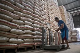 Pemerintah disarankan naikkan HET beras premium, bukan medium