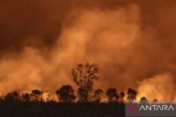 Lahan seluas 2 hektare terbakar di Indralaya Ogan Ilir