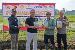 Polres Kuningan membantu pemda perluas areal tanam jagung hibrida