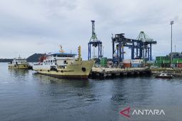 Bea cukai Jayapura sebut kayu merbau Papua potensial diekspor