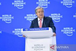 Lebih dari 300 staf PBB di Gaza tewas