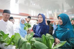 Pemkab Serang luncurkan program Gapudakan dukung swasembada pangan