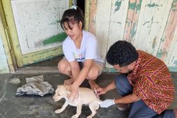 Cegah rabies, Dinas Ketapang Serdang Bedagai vaksinasi hewan