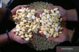 Mendorong petani agar mau tanam kedelai