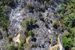 Menhut pertimbangkan ungkap daftar tersangka pembakaran lahan
