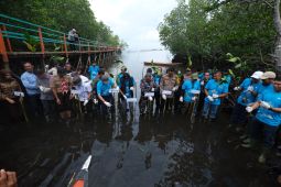 PT Vale tanam 2.000 bibit mangrove dan restorasi terumbu karang peringati Hari Mangrove