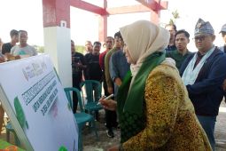 Wagub Babel ajak masyarakat melestarikan hutan mangrove