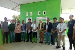 Bakau Institute bangun rumah literasi mangrove di Belitung