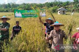 Belitung Timur perkuat kemandirian pangan daerah