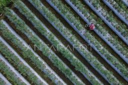 Indonesia strongly committed to green agendas: minister