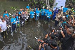 PT Vale tanam 2 ribu mangrove dan restorasi terumbu karang di Malili
