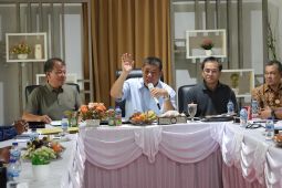 Gubernur: Babel jadi sentra kelapa nasional