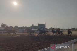 156 kuda berlaga dalam IHR Indonesia Derby di Stadion Bantul