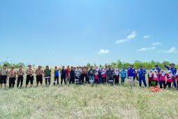 Jaga ekosistem pesisir, PT Timah - HNSI Bangka tanam 4.000 mangrove