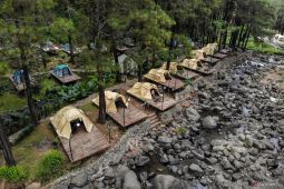 Potensi wisata hutan pinus Jolotundo di Nganjuk