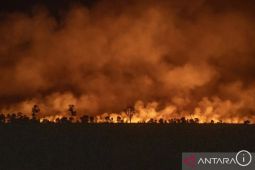 Gubernur Sumut: Enam  kabupaten berstatus siaga darurat karhutla