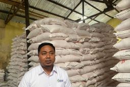 Serapan pupuk subsidi di Sulsel capai 41 persen