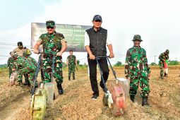 TNI-Pemkab tanam jagung di Kampung Pandu dukung ketahanan pangan