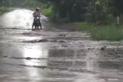 Warga sudah dievakuasi sebelum banjir lahar dingin Lewotobi