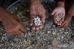 Warga Israel unjuk rasa, kecam rencana pendudukan kembali Gaza