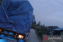 SIPUHH nonaktif, peredaran kayu tetap marak di Taput