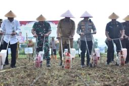 Forkopimda Pacitan tanam jagung dukung swasembada pangan