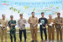 Pemkab Banyuasin Sumsel tanam 1.250 bibit pohon penghijauan