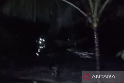 BPBD Cianjur distribusikan bantuan untuk korban banjir Sindangbarang