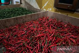 Bapanas: Cabai rawit Rp53.432 per kg, bawang merah Rp47.238 per kg