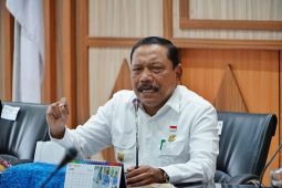 Wagub Bengkulu: Perlu sentra komando tanggulangi stunting