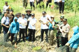Bupati HSU: Pokdakan bantu ketahanan pangan melalui pembibitan ikan