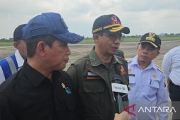 Kepala BNPB sebut Jambi cukup baik penanganan karhutla