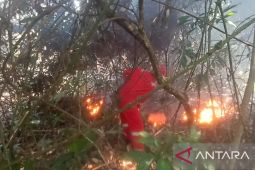 BPBD: Satu hektare lahan kering di Belitung terbakar