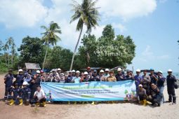 Jaga ekosistem, PT Timah - Karang Taruna Rajik tanam ribuan mangrove