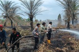 BPBD sedang padamkan lahan terbakar di Musi Banyuasin, terjadi sejak 27 Juli 2025