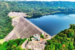 Peningkatan pendapatan dorong PLN masuk Fortune Global 500