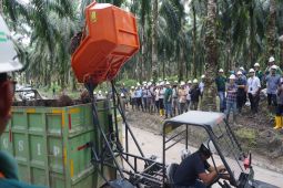 PT GSIP ditunjuk sebagai lokasi percontohan industri kelapa sawit nasional di Kalteng