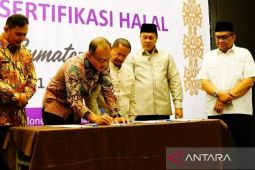 BPJPH siapkan kuota 88.384  sertifikasi halal gratis UMK di Sumut