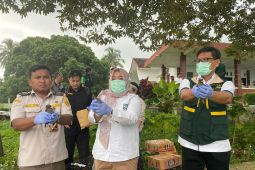 Karantina Banten gagalkan penyelundupan 742 burung liar di Merak