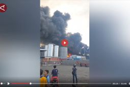 Kebakaran pabrik minyak goreng Medan berhasil padam, 2 petugas terluka - VIDEO