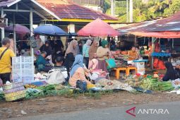 BPS: Inflasi Bengkulu pada Juli 2025 terjaga di angka 1,01 persen
