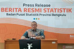 BPS: Neraca perdagangan Bengkulu surplus 53,85 juta dolar AS